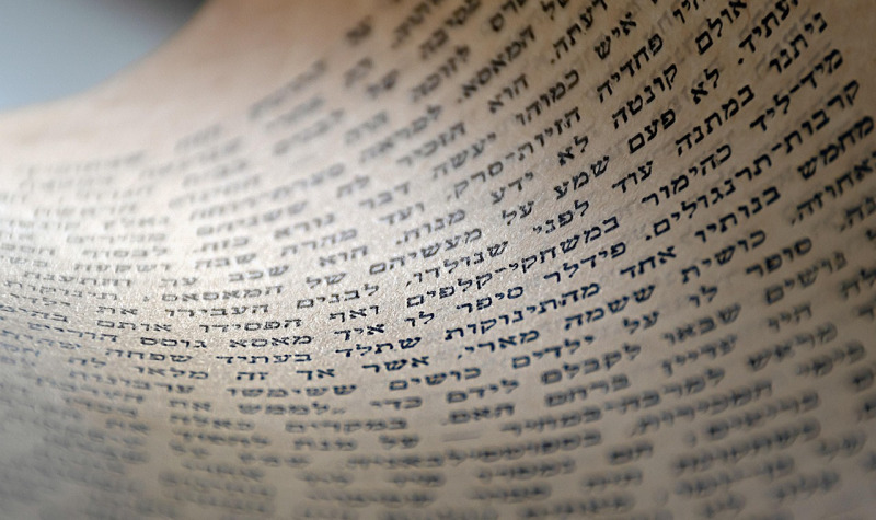 novel book cover reading library