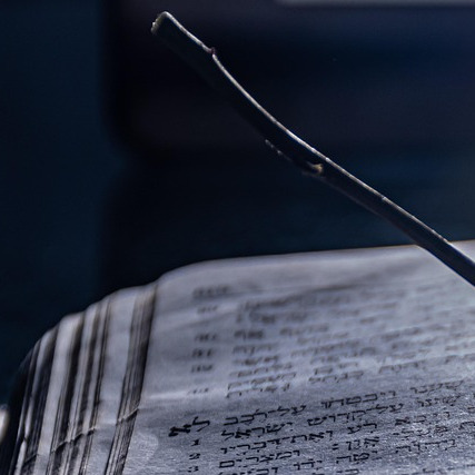 novel book cover reading library